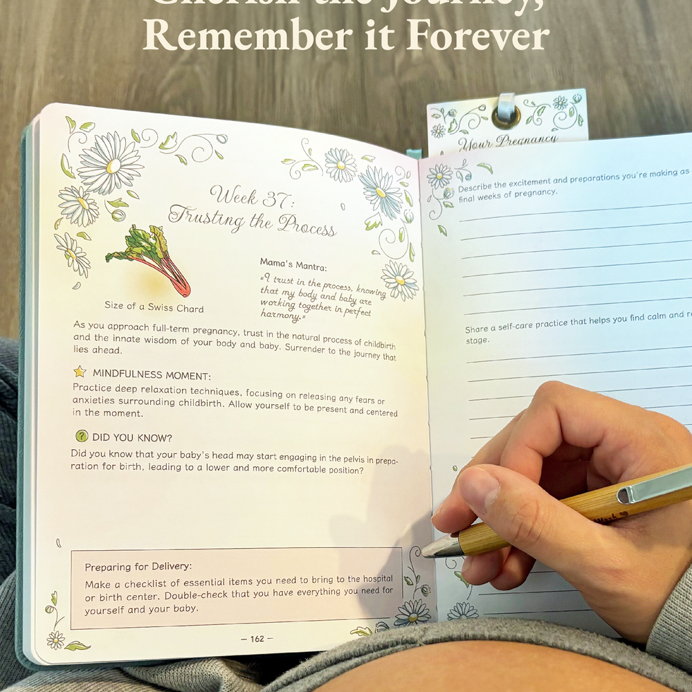 
                      
                        Keepsake Pregnancy Journal: Cherish Every Milestone
                      
                    