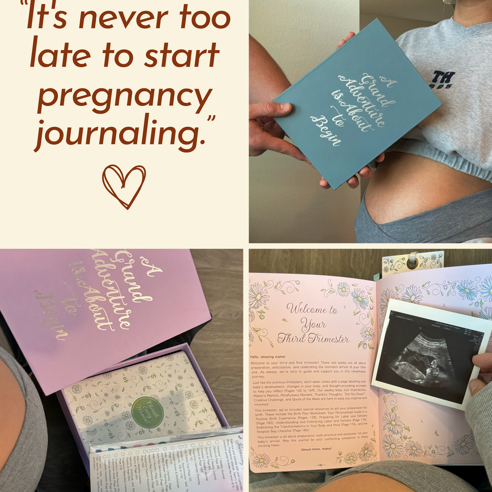 
                      
                        Keepsake Pregnancy Journal: Cherish Every Milestone
                      
                    